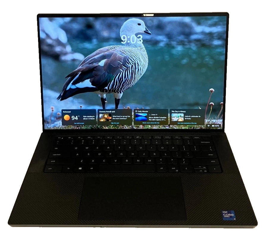 Laptop with a duck on the screen on a white background